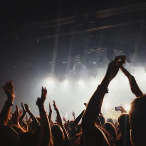 Vibrant concert atmosphere with cheering crowd under spotlights and lively music.